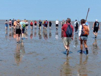 wat is wadlopen?