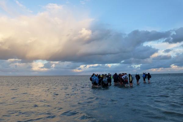 Ameland retourtocht