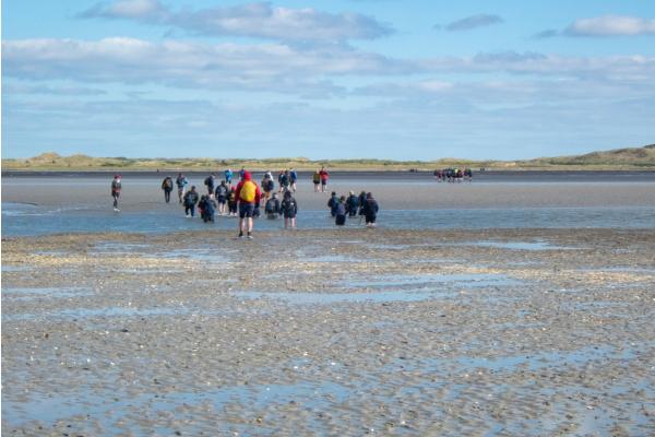 Ameland